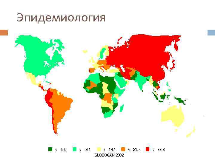 Эпидемиология 