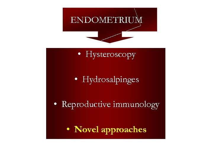 ENDOMETRIUM • Hysteroscopy • Hydrosalpinges • Reproductive immunology • Novel approaches 