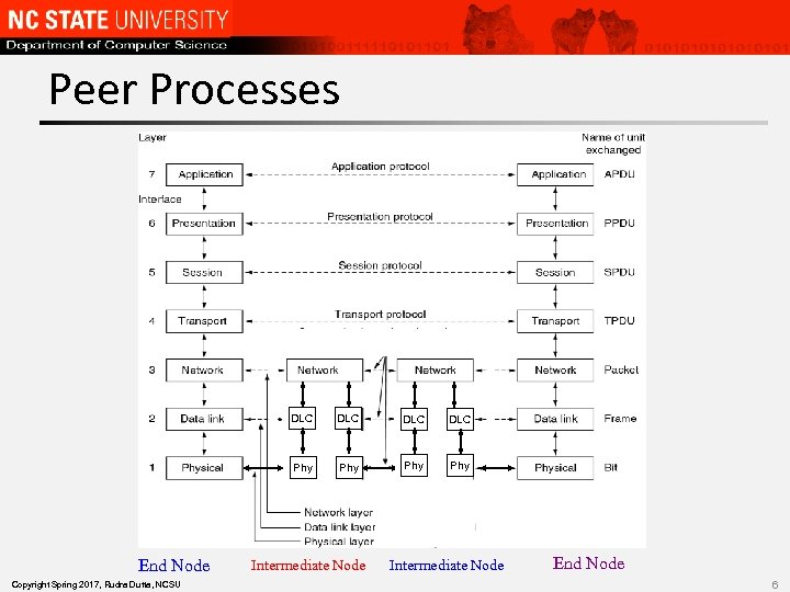 Peer Processes DLC Copyright Spring 2017, Rudra Dutta, NCSU DLC Phy End Node DLC