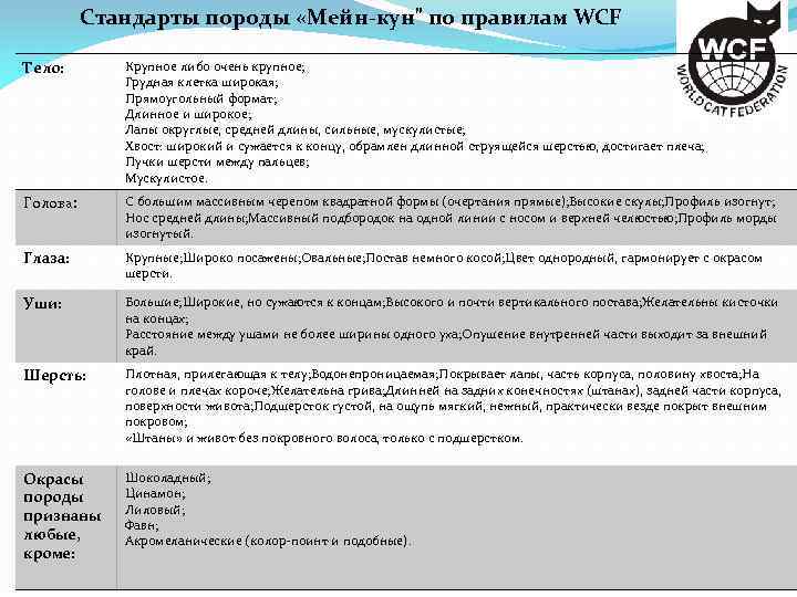 Стандарты породы «Мейн-кун" по правилам WCF Тело: Крупное либо очень крупное; Грудная клетка широкая;