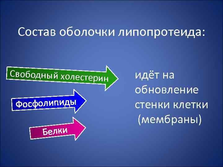 Состав оболочки липопротеида: Свободный холестерин Фосфолипиды Белки идёт на обновление стенки клетки (мембраны) 