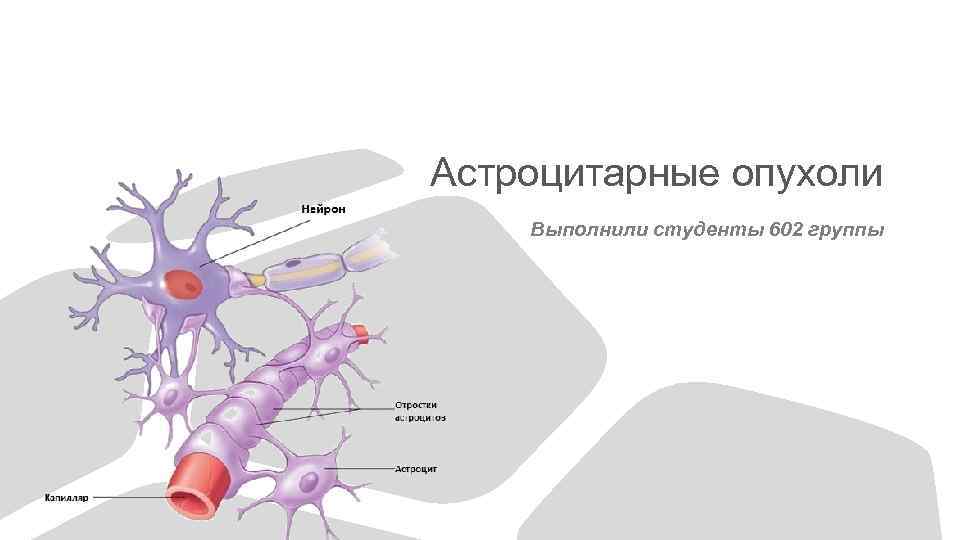 Астроцитарные опухоли Выполнили студенты 602 группы 