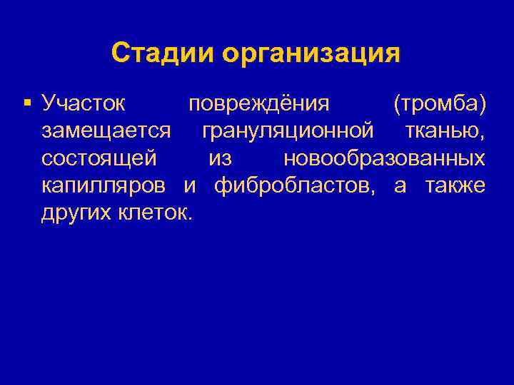 Стадии организация § Участок повреждёния (тромба) замещается грануляционной тканью, состоящей из новообразованных капилляров и