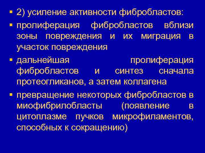 § 2) усиление активности фибробластов: § пролиферация фибробластов вблизи зоны повреждения и их миграция