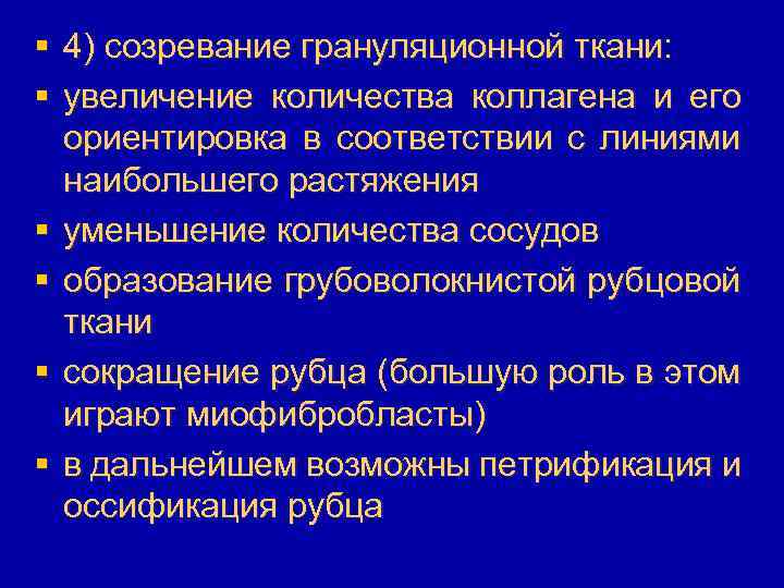 § 4) созревание грануляционной ткани: § увеличение количества коллагена и его ориентировка в соответствии