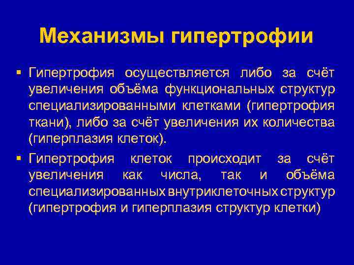 Механизмы гипертрофии § Гипертрофия осуществляется либо за счёт увеличения объёма функциональных структур специализированными клетками