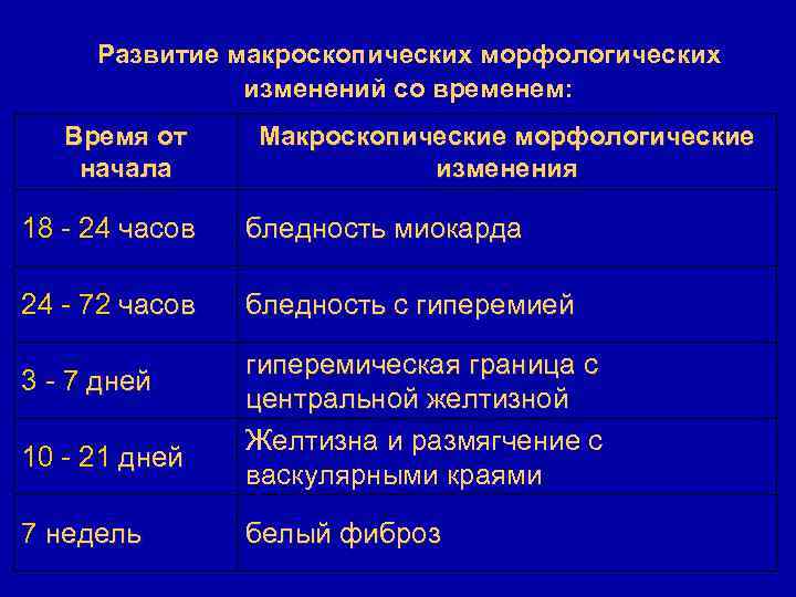 Развитие макроскопических морфологических изменений со временем: Время от начала Макроскопические морфологические изменения 18 -