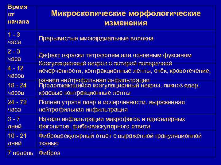 Время от начала 1 -3 часа 2 -3 часа 4 - 12 часов Микроскопические