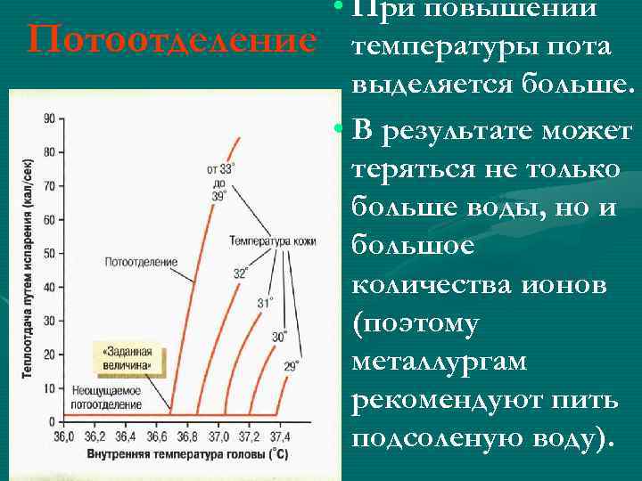 Потоотделение • При повышении температуры пота выделяется больше. • В результате может теряться не