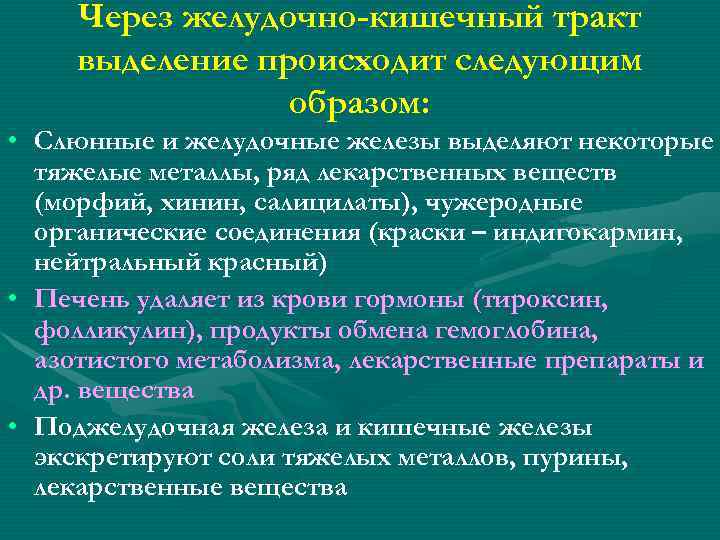 Через желудочно-кишечный тракт выделение происходит следующим образом: • Слюнные и желудочные железы выделяют некоторые