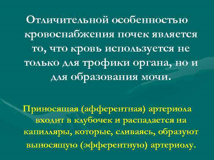 Отличительной особенностью кровоснабжения почек является то, что кровь используется не только для трофики органа,