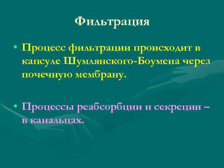 Фильтрация • Процесс фильтрации происходит в капсуле Шумлянского-Боумена через почечную мембрану. • Процессы реабсорбции