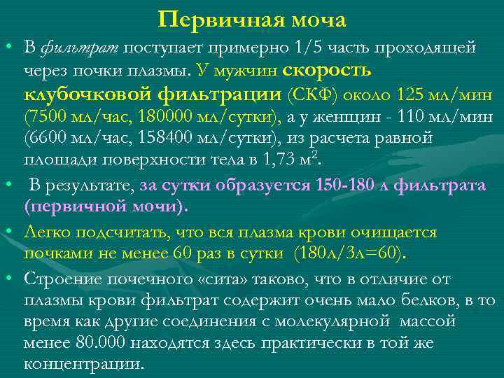 Первичная моча • В фильтрат поступает примерно 1/5 часть проходящей через почки плазмы. У