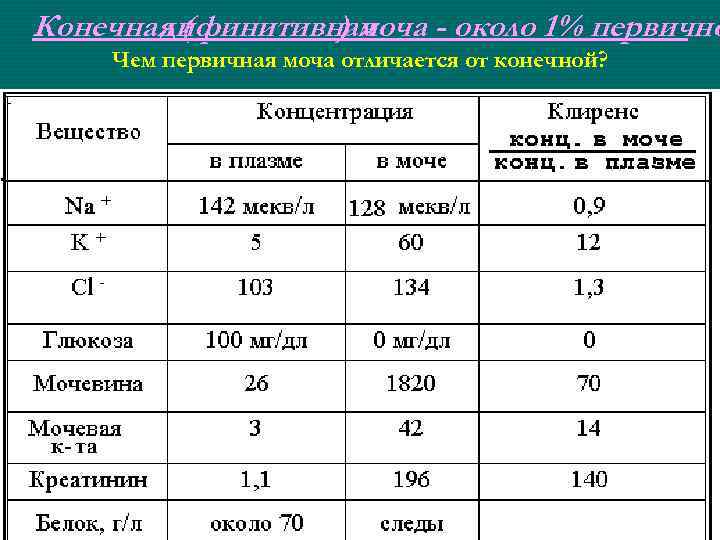 Конечная ( дифинитивная ) моча - около 1% первично Чем первичная моча отличается от
