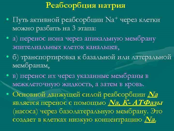 Реабсорбция натрия • Путь активной реабсорбции Nа+ через клетки можно разбить на 3 этапа: