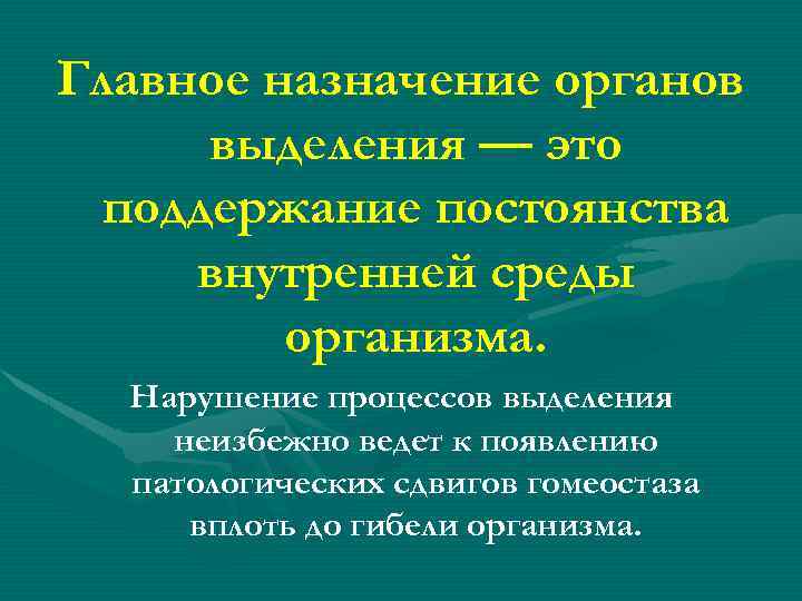 Главное назначение органов выделения — это поддержание постоянства внутренней среды организма. Нарушение процессов выделения