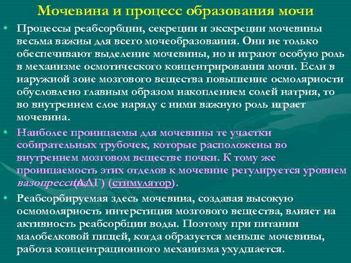 Мочевина и процесс образования мочи • Процессы реабсорбции, секреции и экскреции мочевины весьма важны