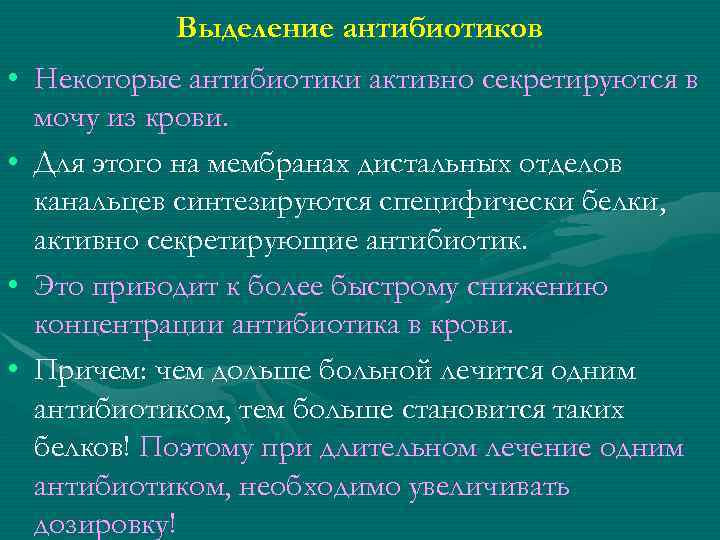 Выделение антибиотиков • Некоторые антибиотики активно секретируются в мочу из крови. • Для этого