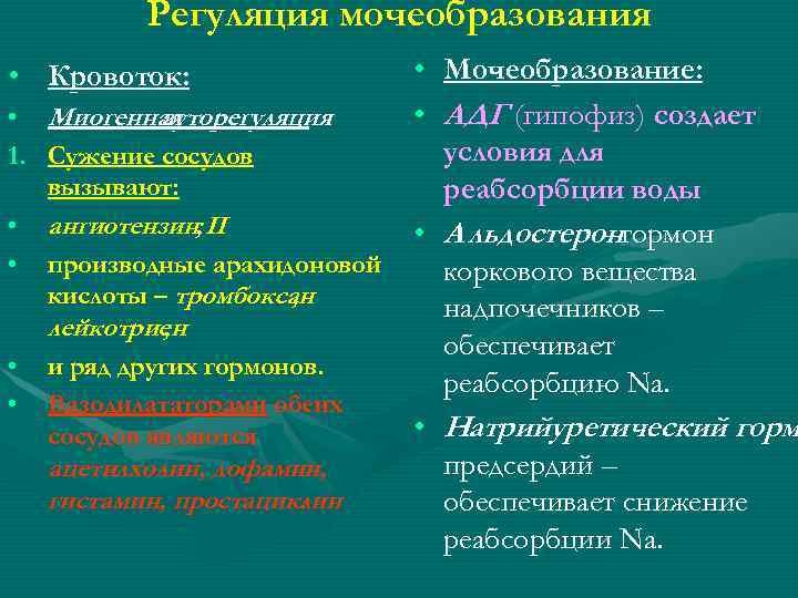 Регуляция мочеобразования схема