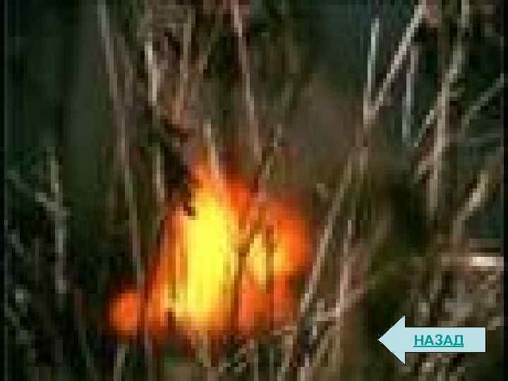 НАЗАД 