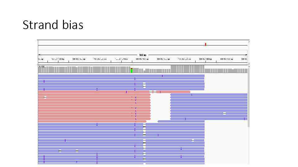 Strand bias 