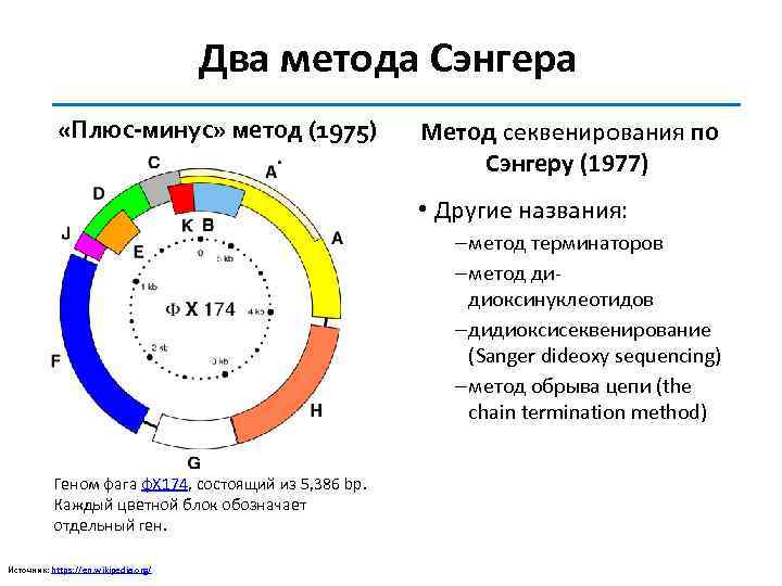 Два метода Сэнгера «Плюс-минус» метод (1975) Метод секвенирования по Сэнгеру (1977) • Другие названия: