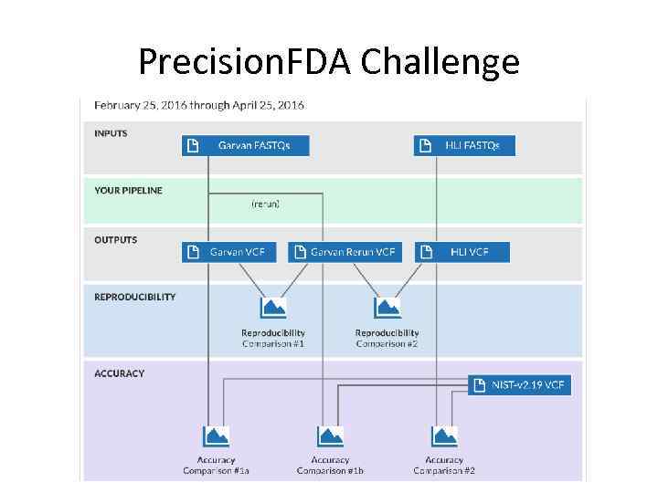 Precision. FDA Challenge 
