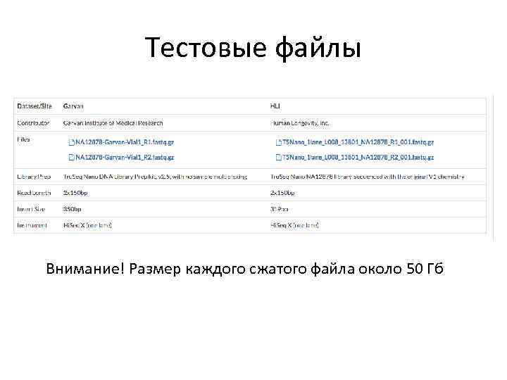 Тестовые файлы Внимание! Размер каждого сжатого файла около 50 Гб 