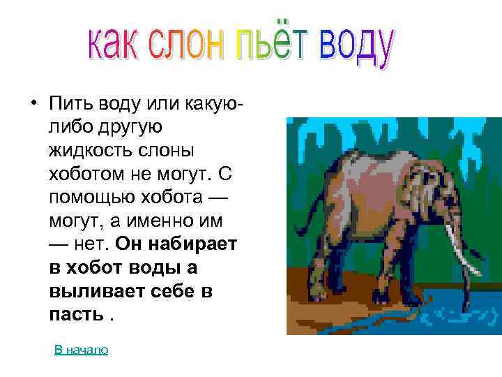  • Пить воду или какуюлибо другую жидкость слоны хоботом не могут. С помощью