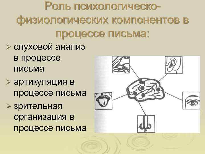 Операции письма. Этапы процесса письма. Психологические механизмы процесса письма. Психологическое содержание процесса письма. Процесс письма схема.