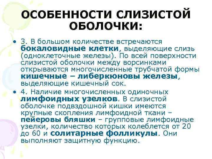 ОСОБЕННОСТИ СЛИЗИСТОЙ ОБОЛОЧКИ: • 3. В большом количестве встречаются бокаловидные клетки, выделяющие слизь (одноклеточные