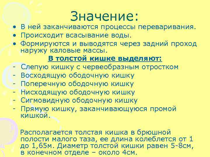 Значение: • В ней заканчиваются процессы переваривания. • Происходит всасывание воды. • Формируются и