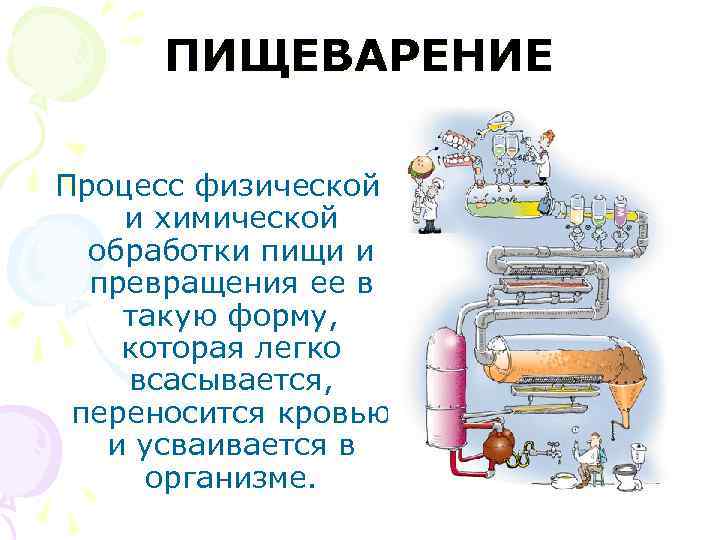 ПИЩЕВАРЕНИЕ Процесс физической и химической обработки пищи и превращения ее в такую форму, которая
