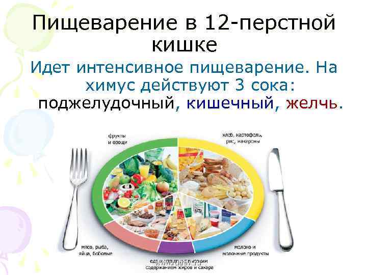 Пищеварение в 12 -перстной кишке Идет интенсивное пищеварение. На химус действуют 3 сока: поджелудочный,
