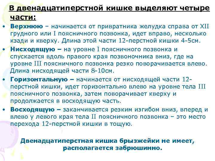 В двенадцатиперстной кишке выделяют четыре части: • Верхнюю – начинается от привратника желудка справа