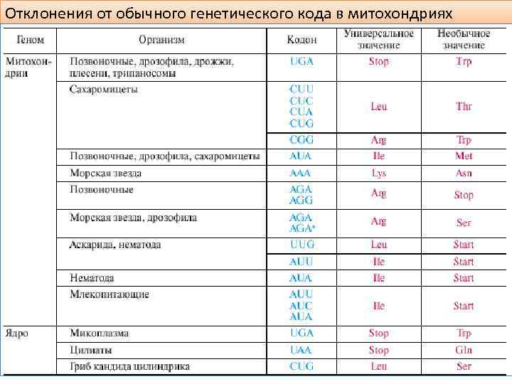 Отклонения от обычного генетического кода в митохондриях 