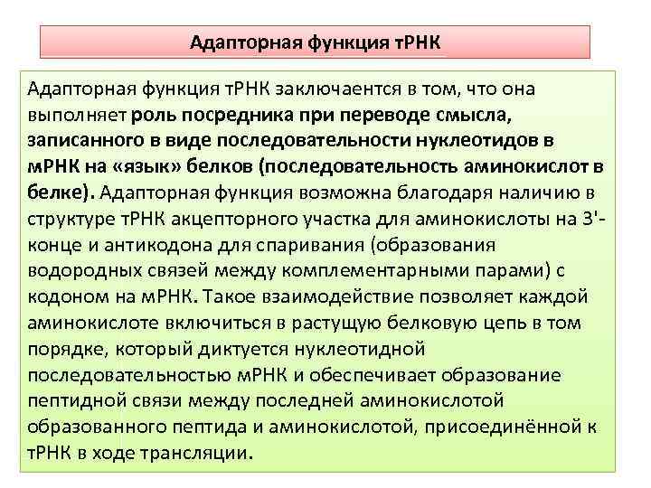 Роль т. Адапторная функция ТРНК И роль МРНК при биосинтезе белков. Адапторная функция т-РНК.. Адапторная функция ТРНК. Адапторная роль ТРНК.