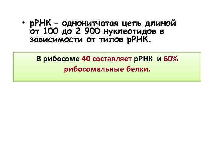  • р. РНК – однонитчатая цепь длиной от 100 до 2 900 нуклеотидов