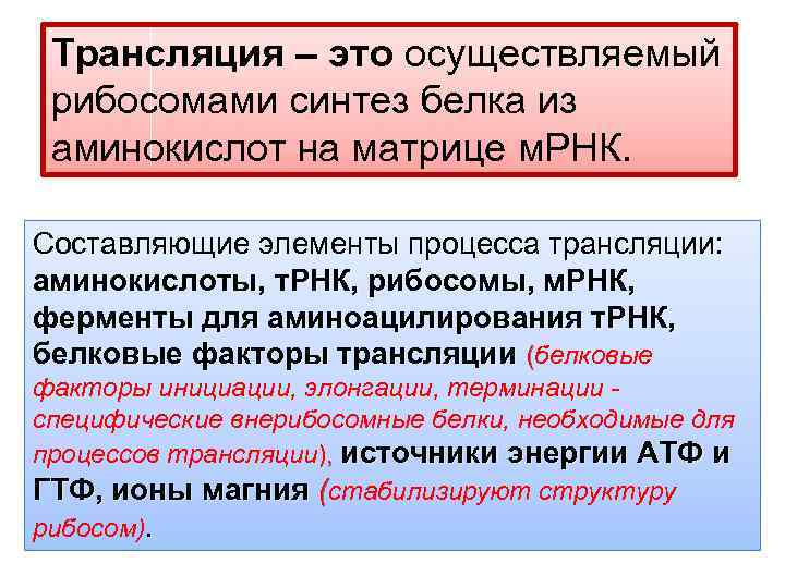 Трансляция – это осуществляемый рибосомами синтез белка из аминокислот на матрице м. РНК. Cоставляющие