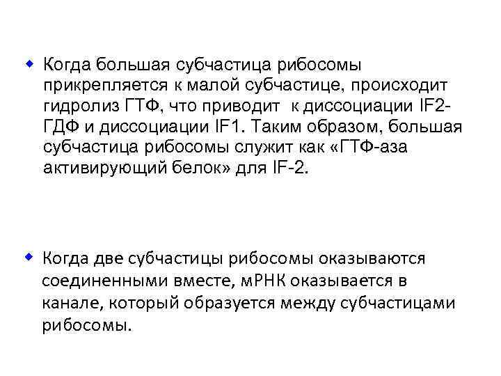 w Когда большая субчастица рибосомы прикрепляется к малой субчастице, происходит гидролиз ГТФ, что приводит