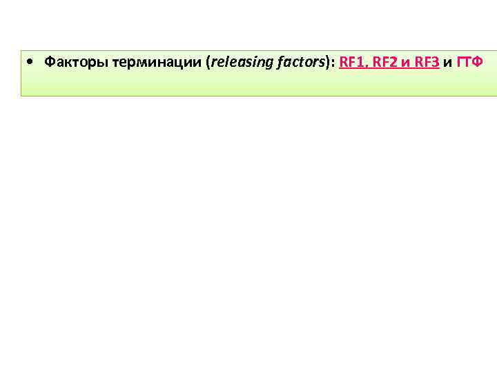 • Факторы терминации (releasing factors): RF 1, RF 2 и RF 3 и
