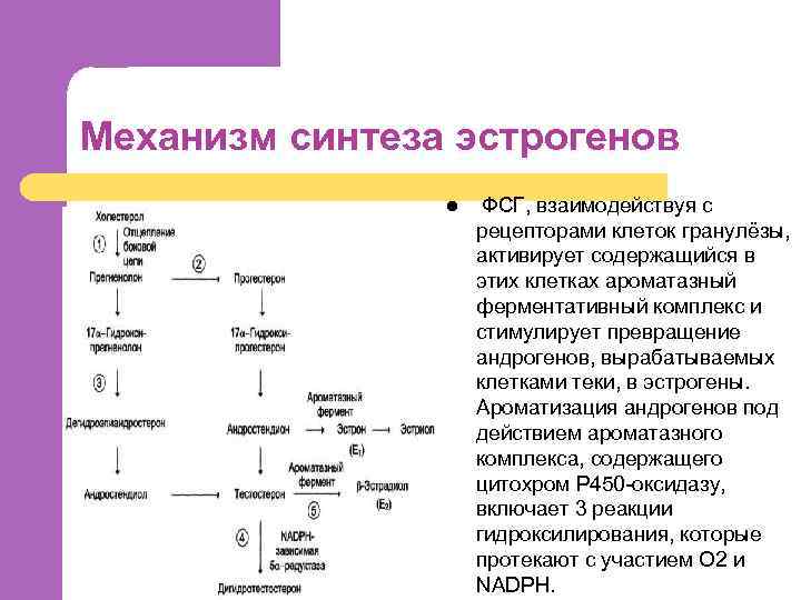 Андрогены анализ