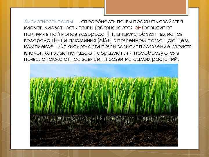 Кислотность почвы — способность почвы проявлять свойства кислот. Кислотность почвы (обозначается p. H) зависит