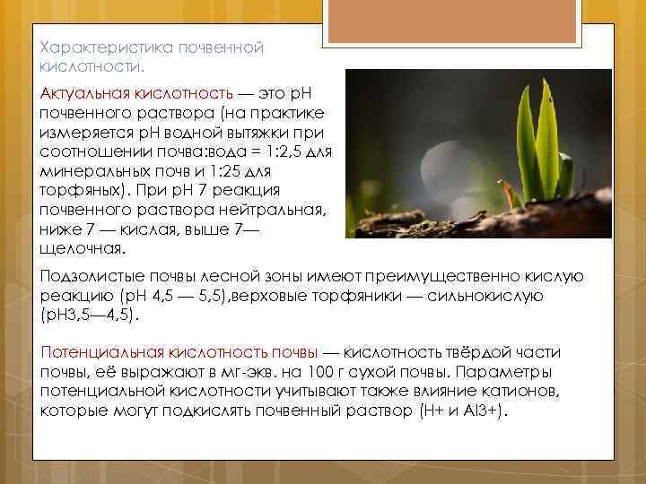 Характеристика почвенной кислотности. Актуальная кислотность — это p. H почвенного раствора (на практике измеряется