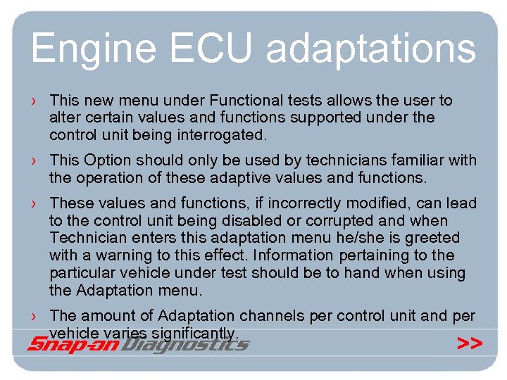 Engine ECU adaptations › This new menu under Functional tests allows the user to