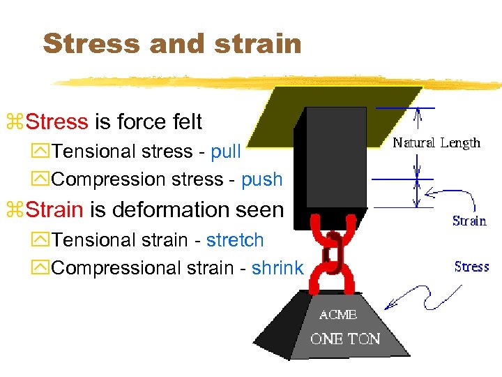 Stress and strain z. Stress is force felt y. Tensional stress - pull y.