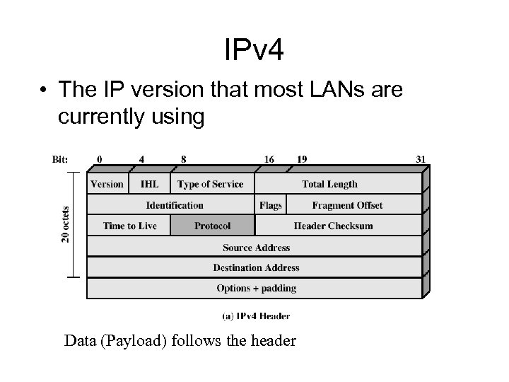 IPv 4 • The IP version that most LANs are currently using Data (Payload)