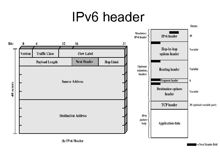 IPv 6 header 