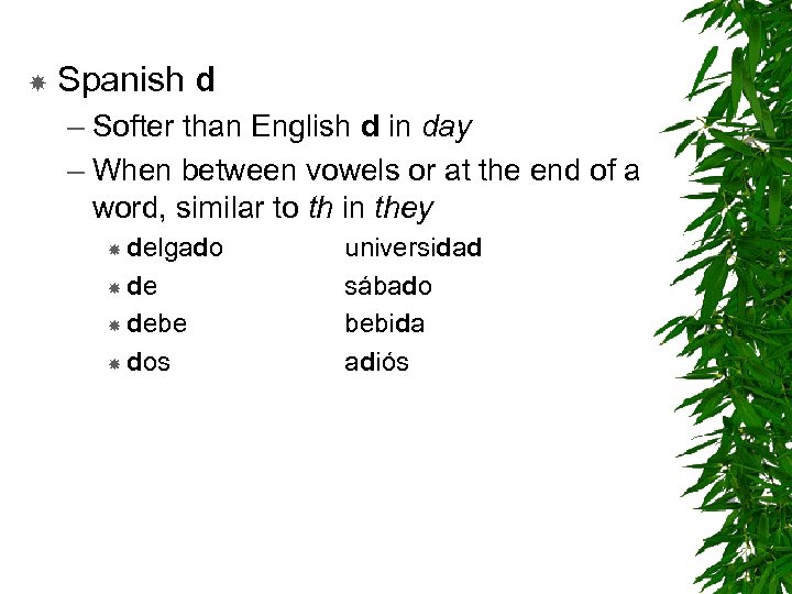  Spanish d – Softer than English d in day – When between vowels