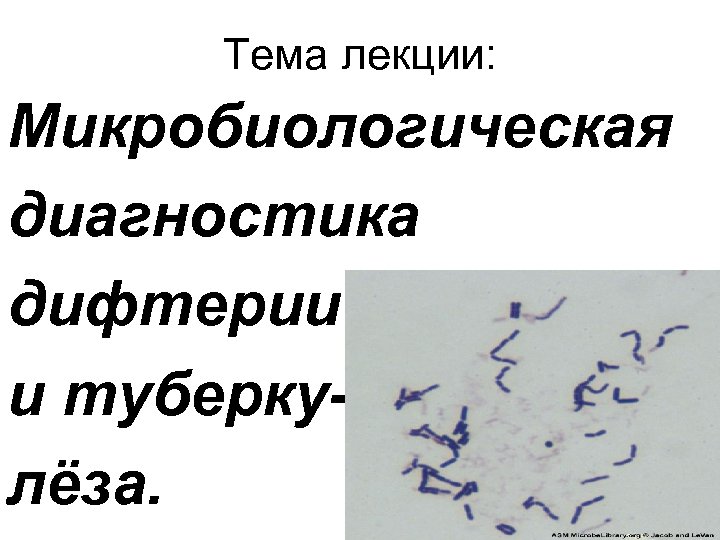 Тема лекции: Микробиологическая диагностика дифтерии и туберкулёза. 